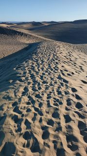 GC-Dunas de Maspalomas sunset 2026-040.jpg